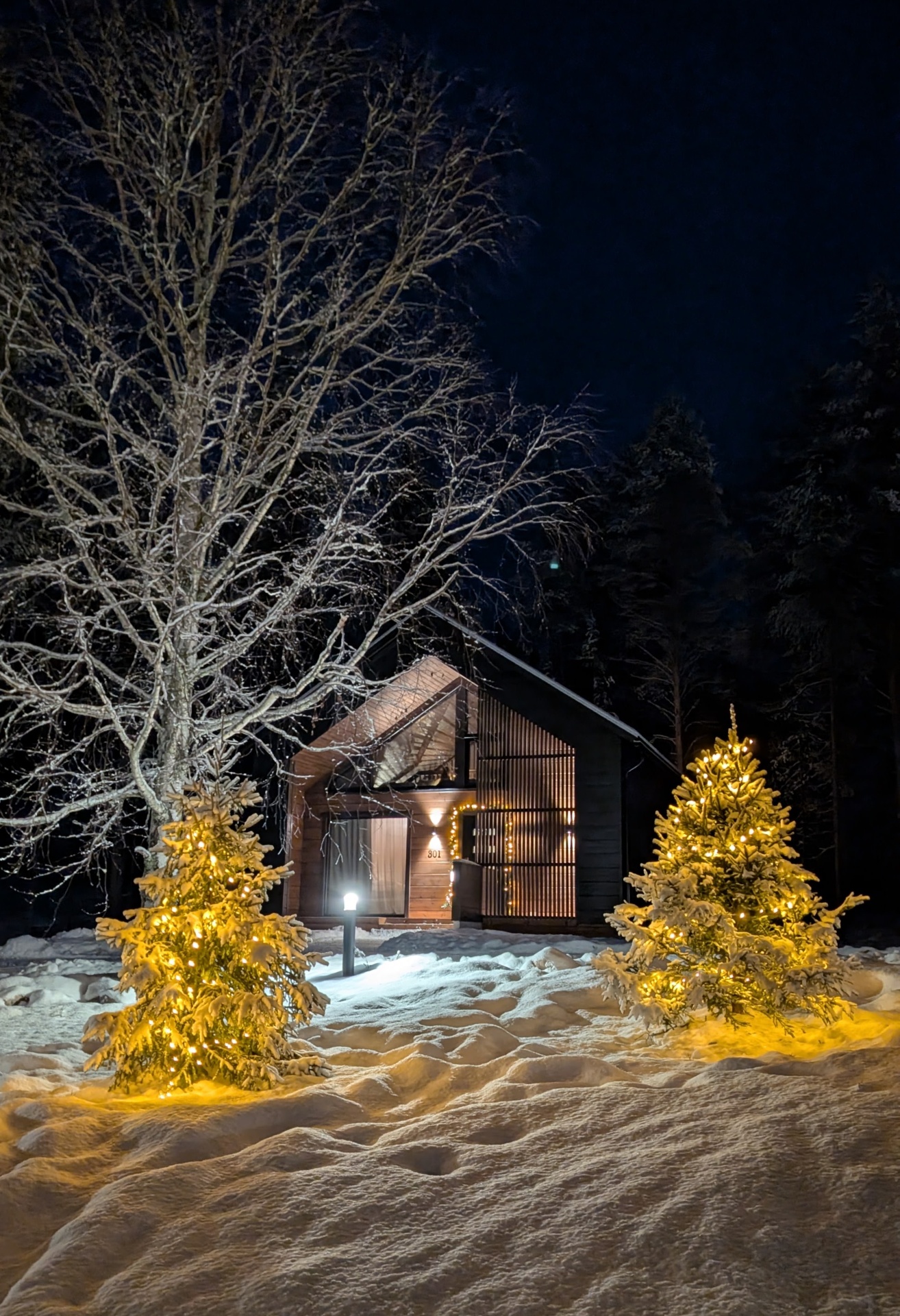 Warmly lit Nordic cabin at night, softly lit trees in fresh snow